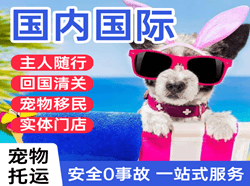 黄花航空货运国际宠物托运 【国